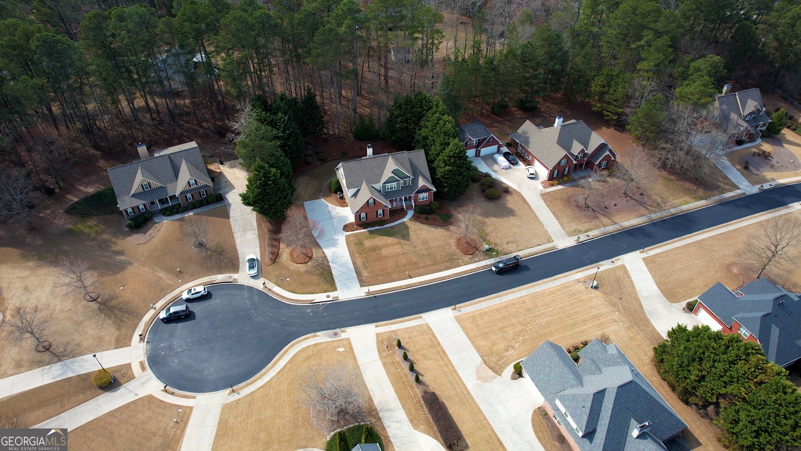 217 Amelia Way Loganville - Photo 68