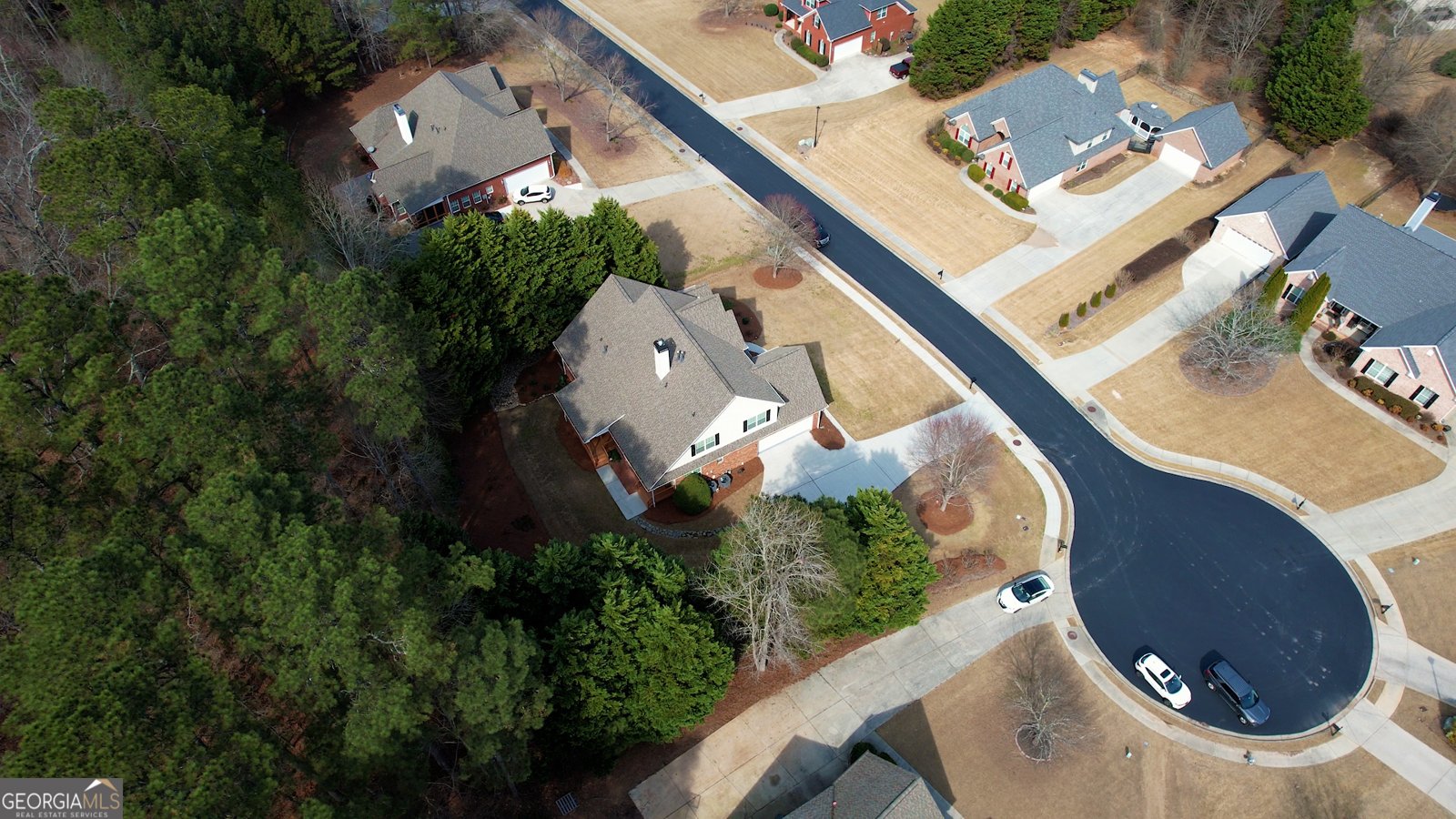 217 Amelia Way Loganville - Photo 69