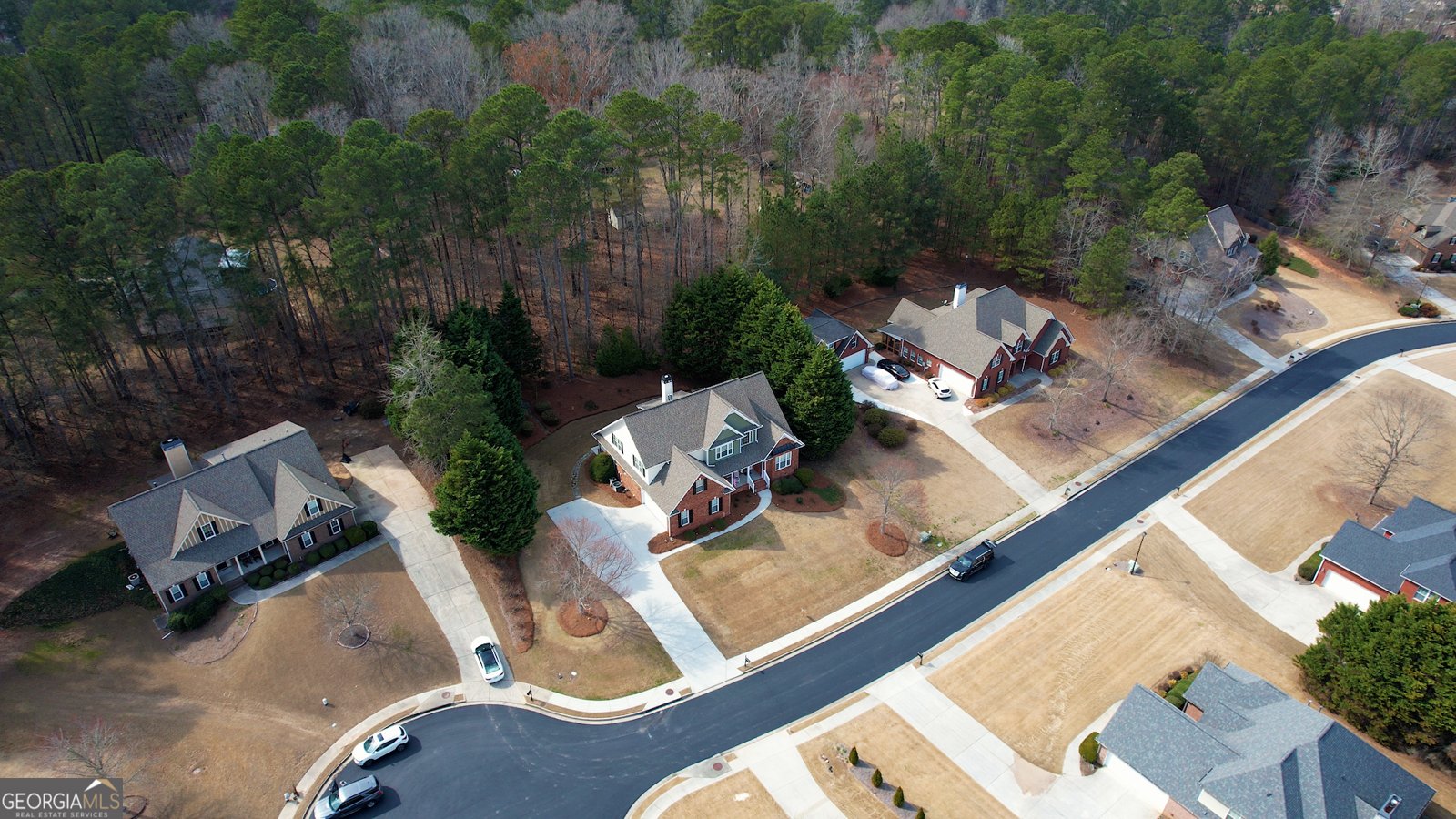 217 Amelia Way Loganville - Photo 71