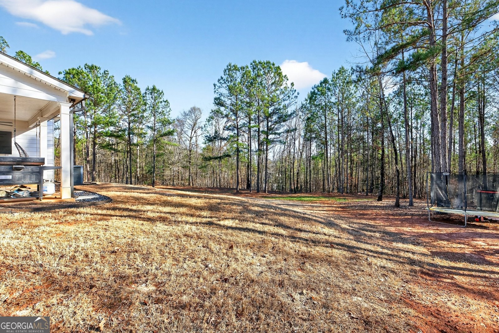 2764 Boxankle Road Forsyth - Photo 42