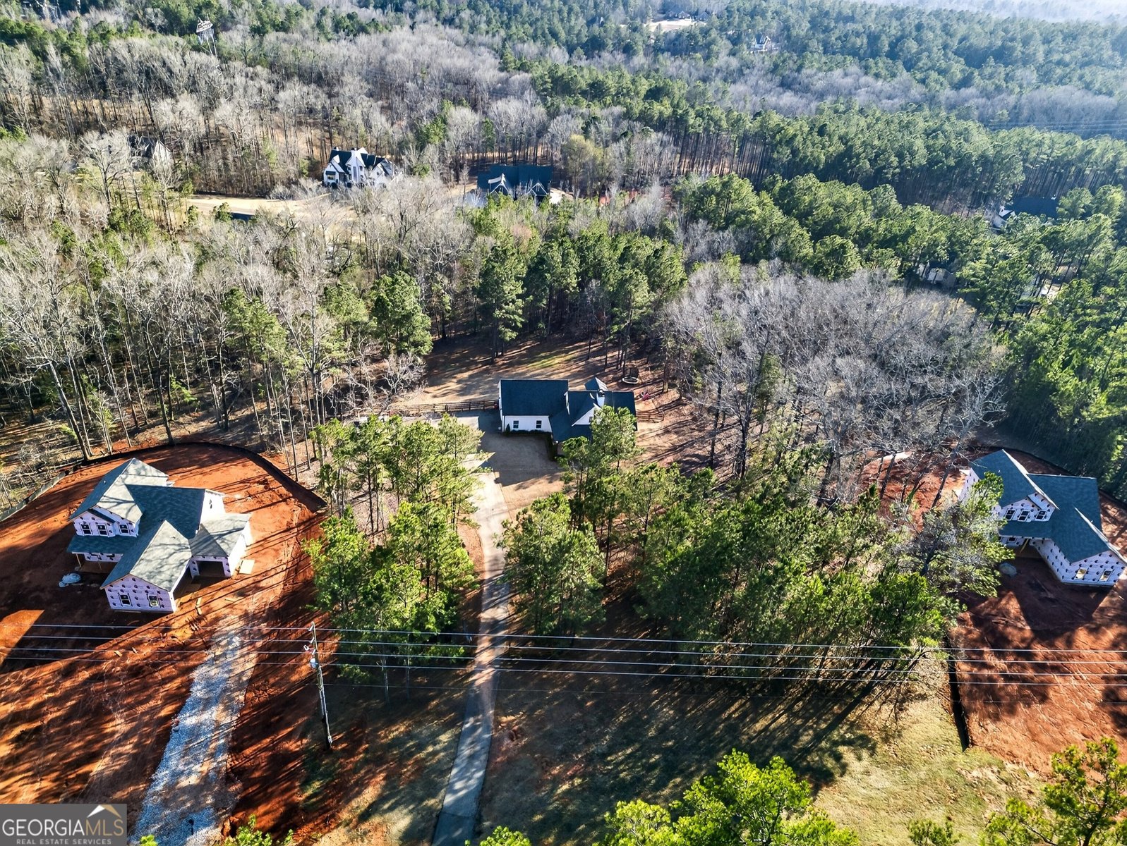 2764 Boxankle Road Forsyth - Photo 46