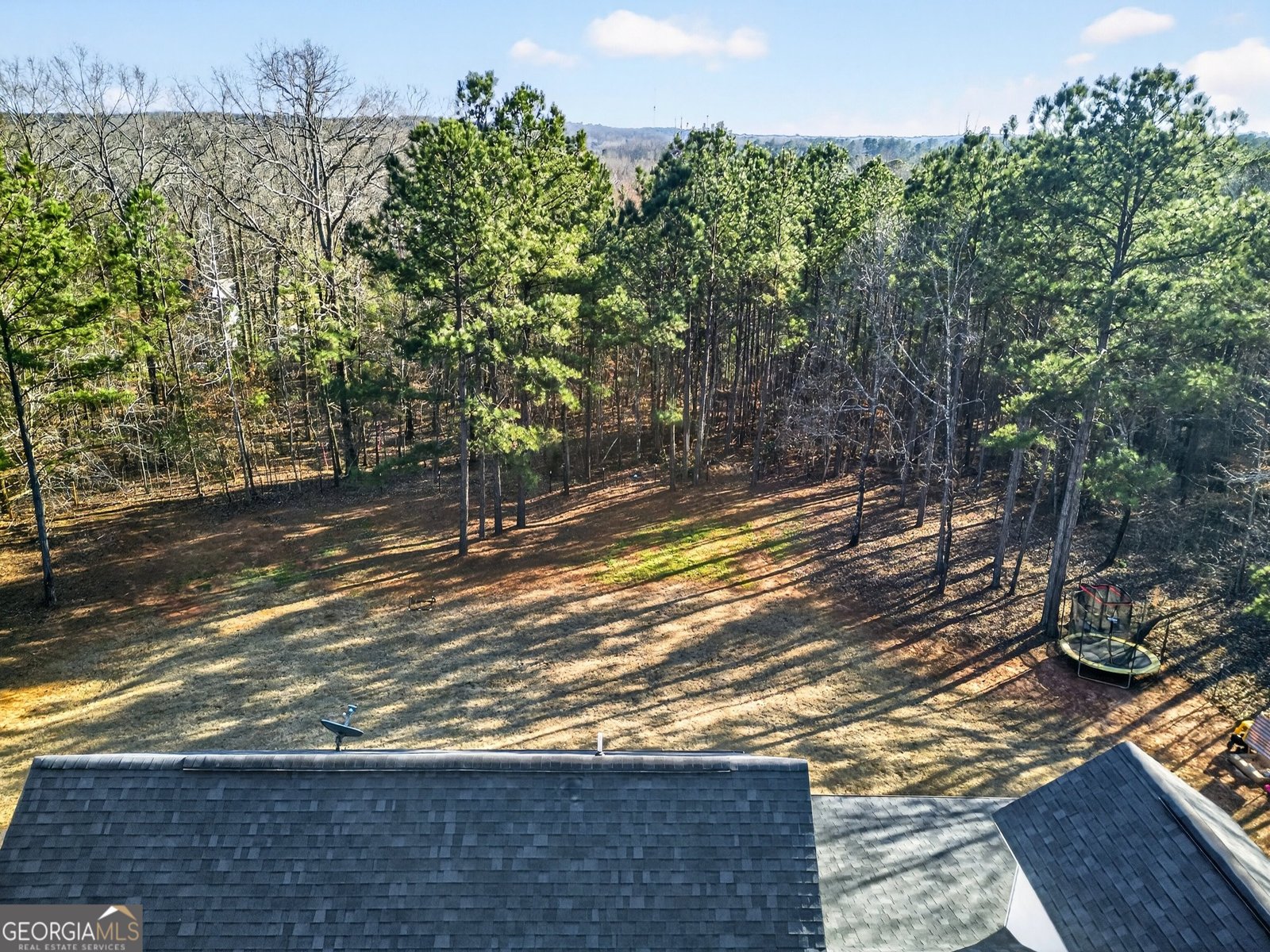 2764 Boxankle Road Forsyth - Photo 54