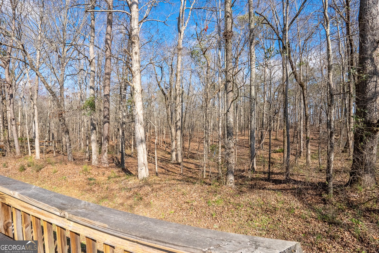 162 Morningside Drive Jackson - Photo 17