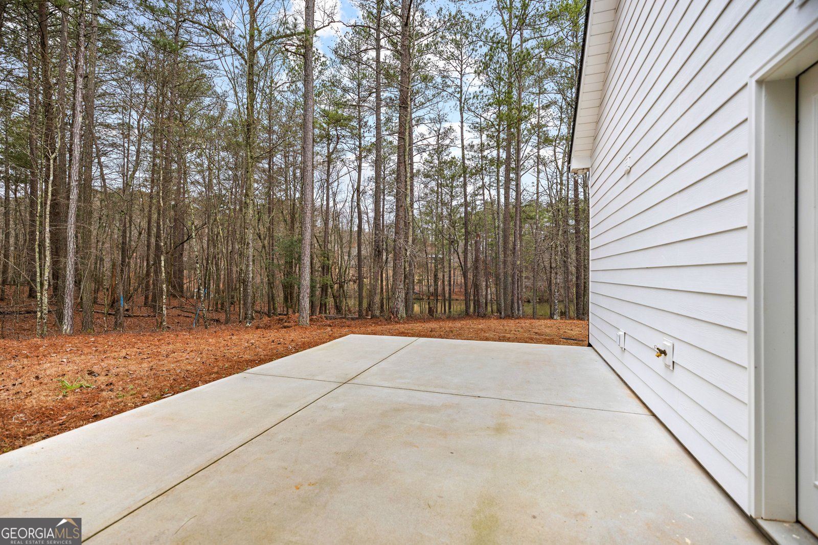 354 Turner Road Newnan - Photo 61