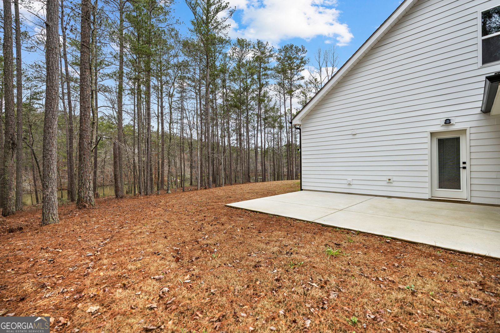 354 Turner Road Newnan - Photo 62