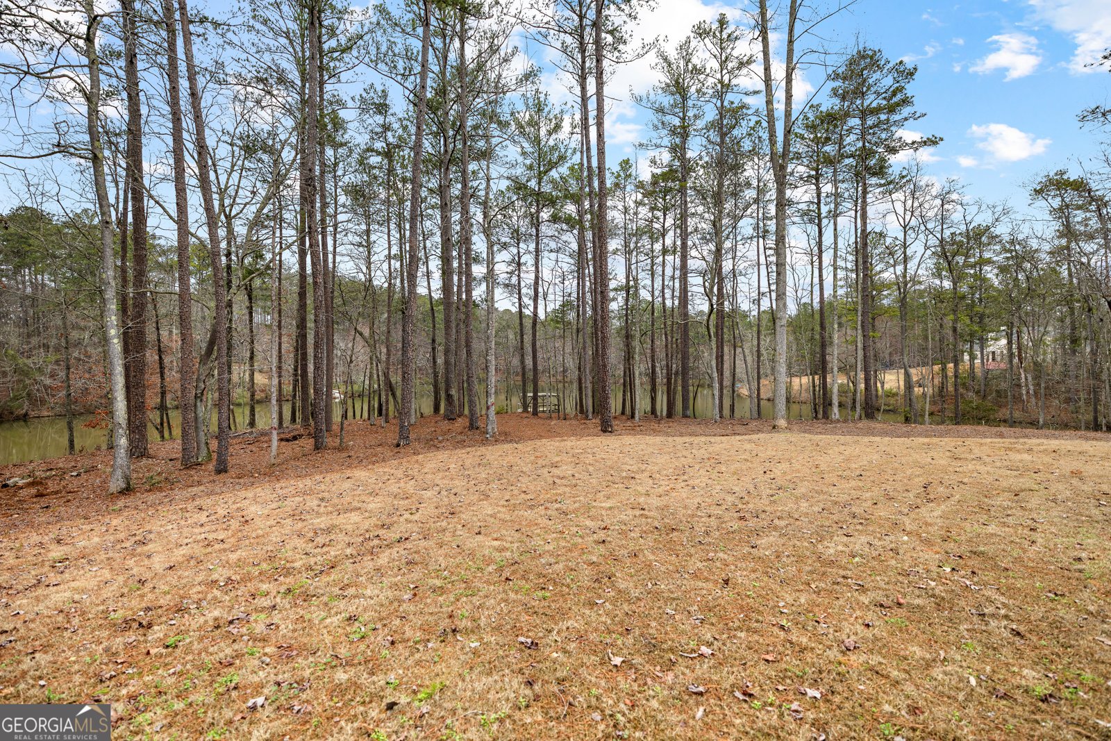354 Turner Road Newnan - Photo 69