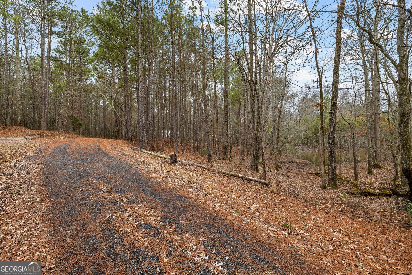 354 Turner Road Newnan - Photo 81