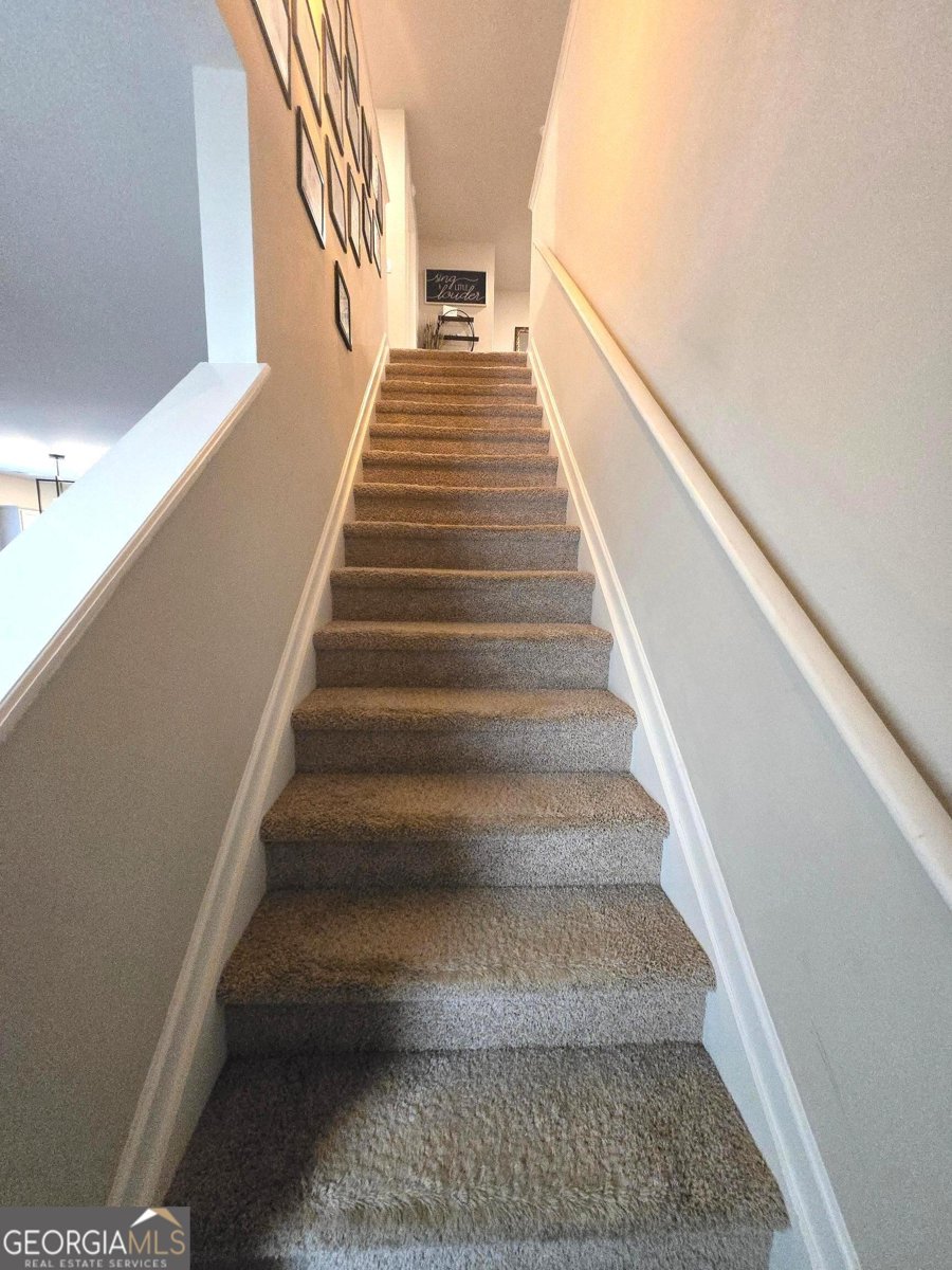 1666 East Brook Drive Conyers - Photo 15