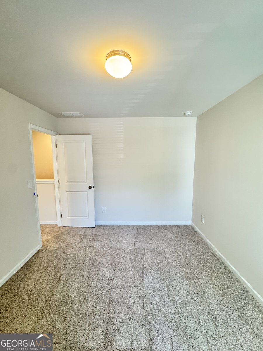 501 Hayes Lane Canton - Photo 19