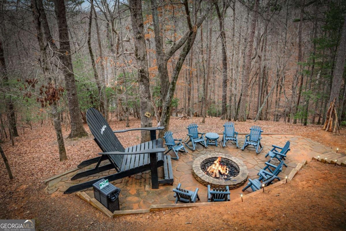 1503 Garnet Drive Ellijay - Photo 24