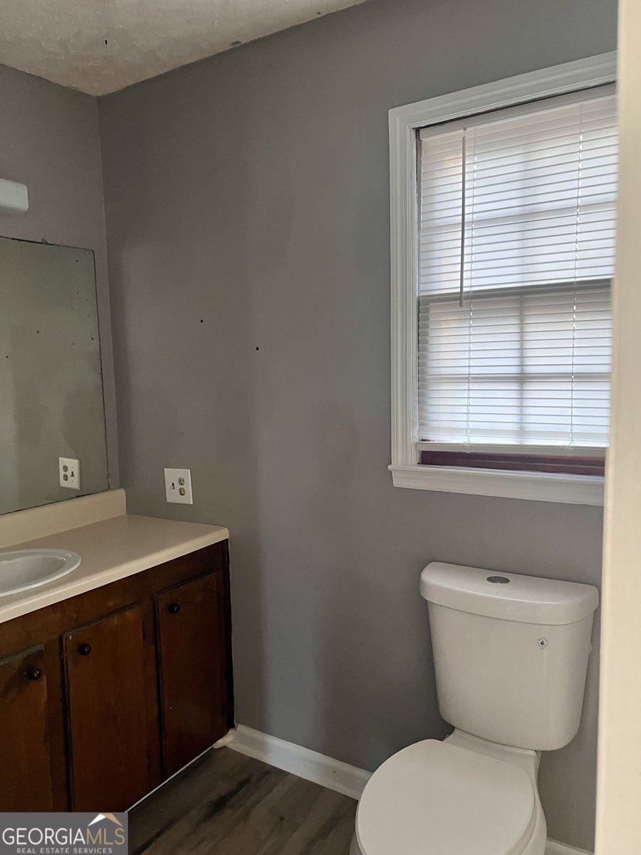 150 Wp Lowery Road Eastman - Photo 35