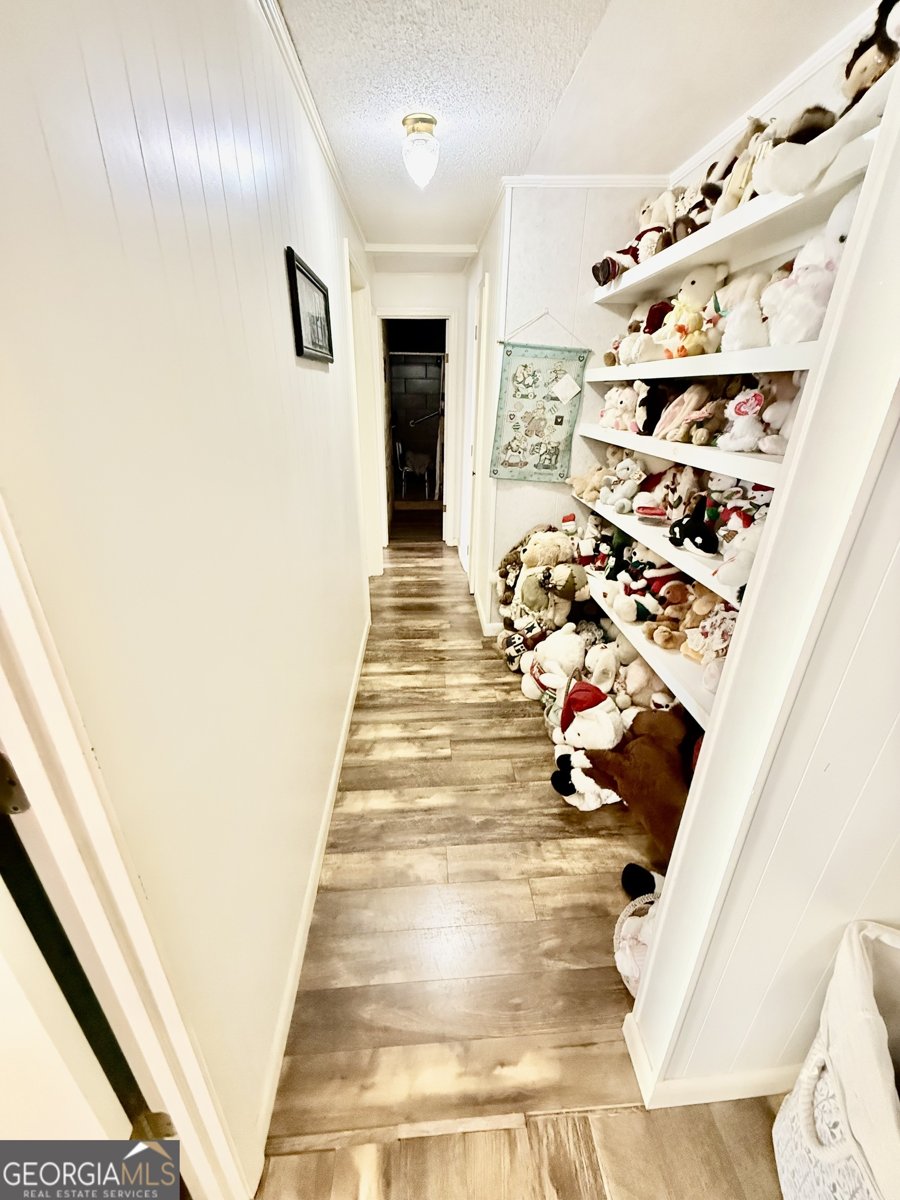 247 Jim Hendrix Lane Claxton - Photo 17