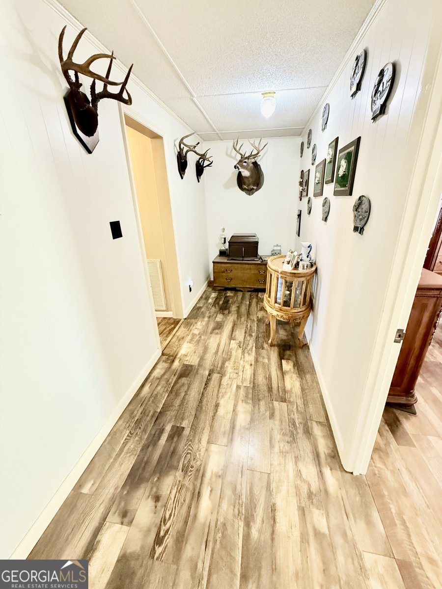 247 Jim Hendrix Lane Claxton - Photo 18