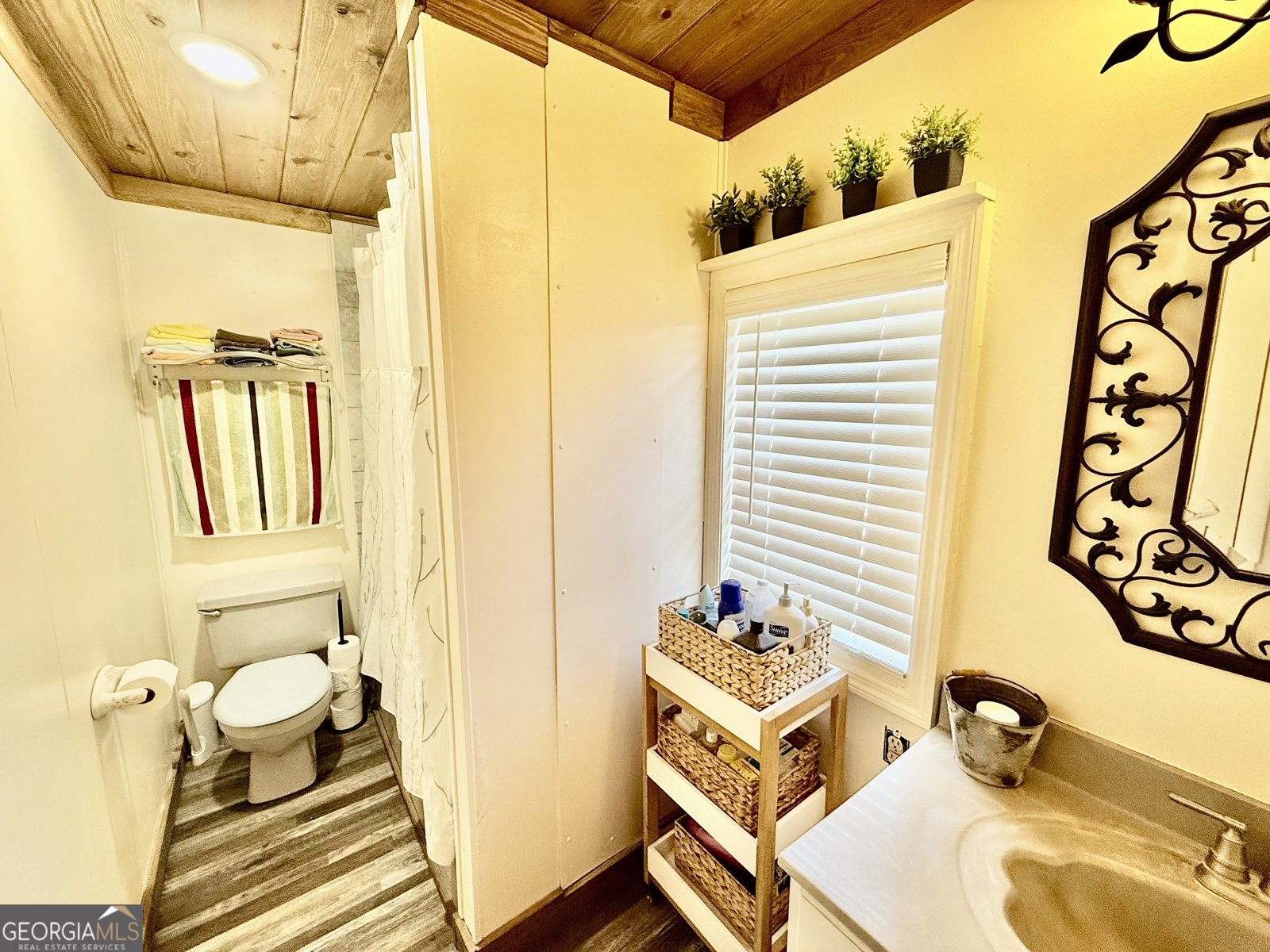 247 Jim Hendrix Lane Claxton - Photo 26