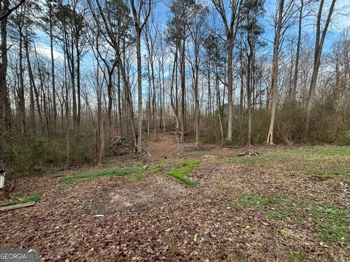 676 Hog Liver Road Carrollton - Photo 26