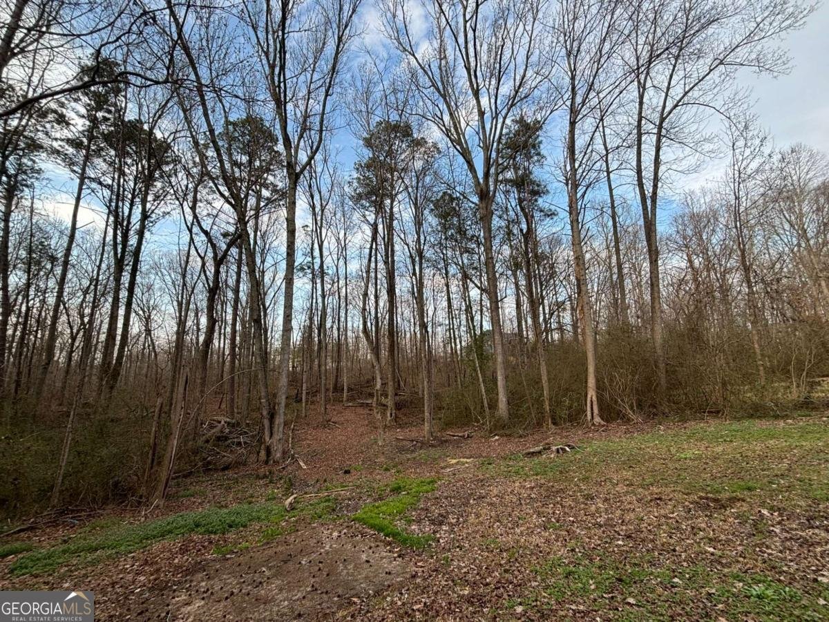 676 Hog Liver Road Carrollton - Photo 27