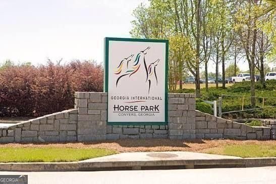 2298 Lake Drive Conyers - Photo 31