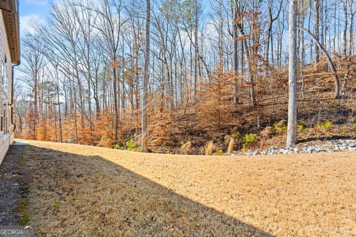 8335 Scenic Ridge Way Ball Ground - Photo 27