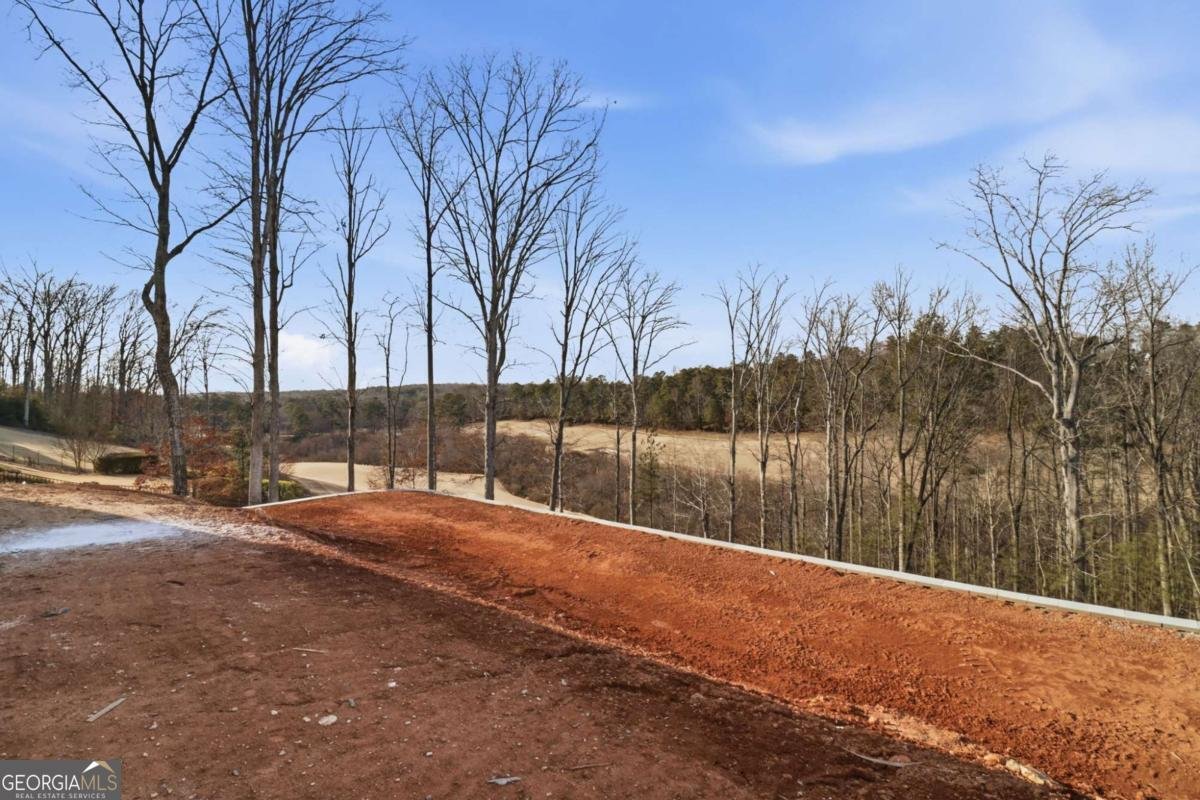 227 Traditions Drive Alpharetta - Photo 59