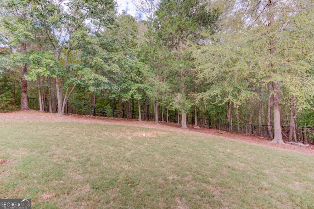 617 Skyland Drive Hoschton - Photo 56