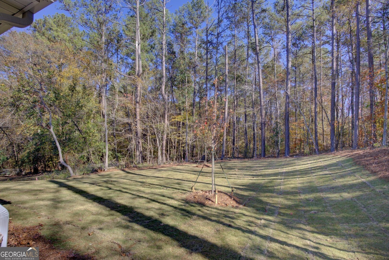 9213 Westview Drive Covington - Photo 32