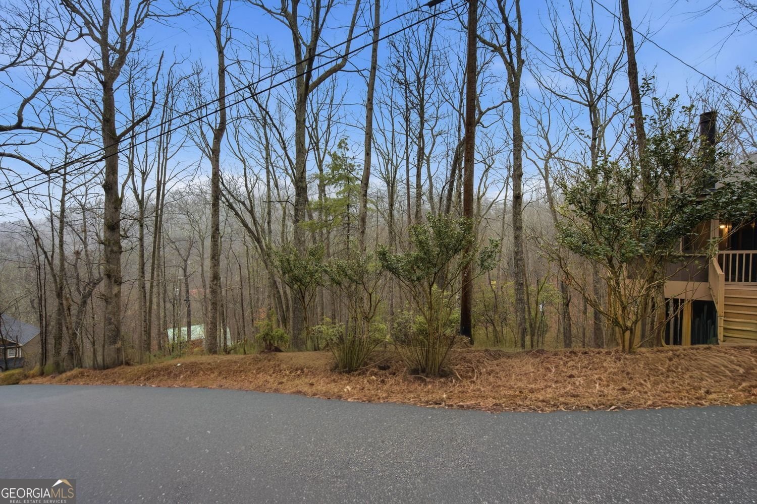 27 Laurel Lane Ellijay - Photo 40