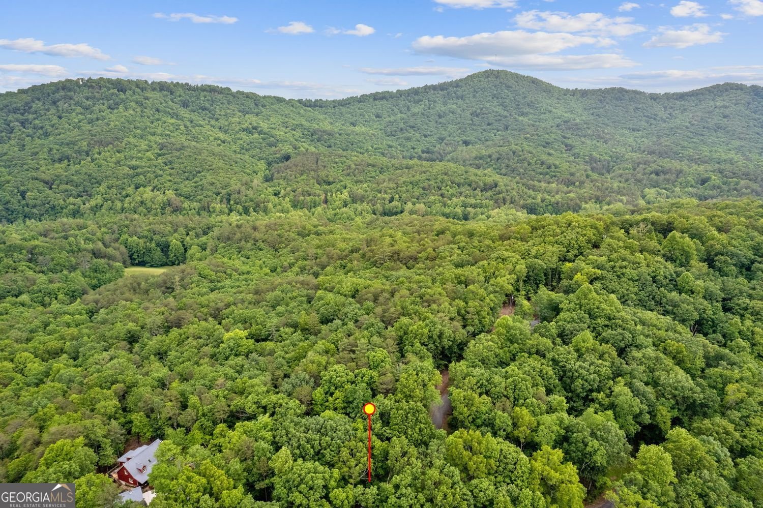 27 Laurel Lane Ellijay - Photo 43