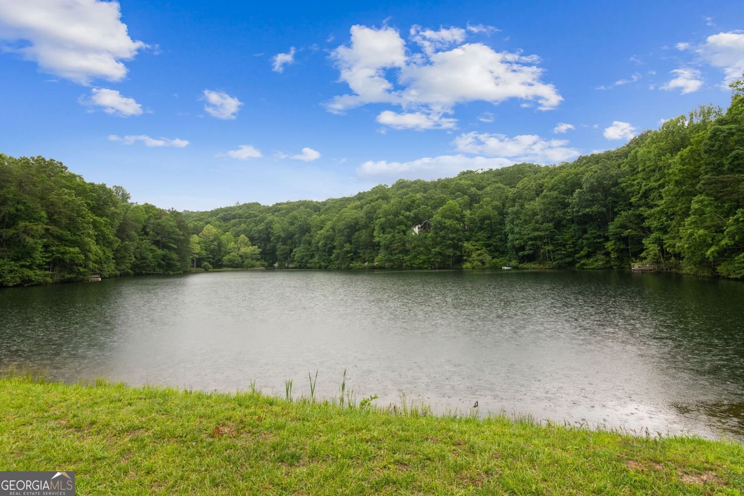 27 Laurel Lane Ellijay - Photo 44