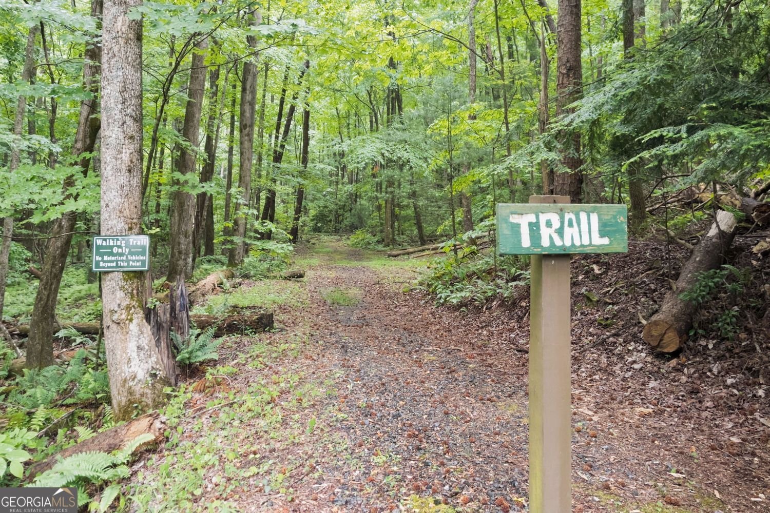 27 Laurel Lane Ellijay - Photo 51