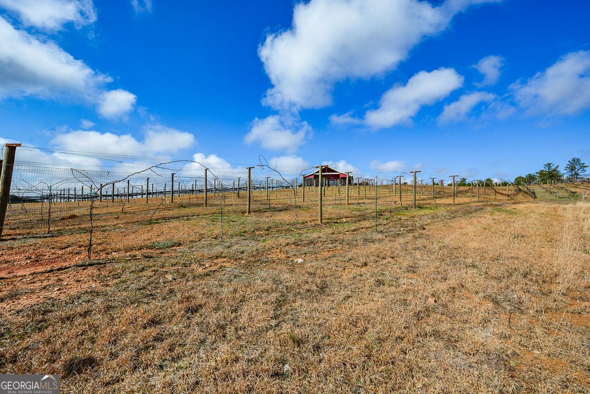 119 Inland 2 Drive Talking Rock - Photo 10