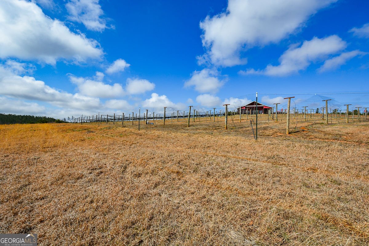 119 Inland 2 Drive Talking Rock - Photo 11