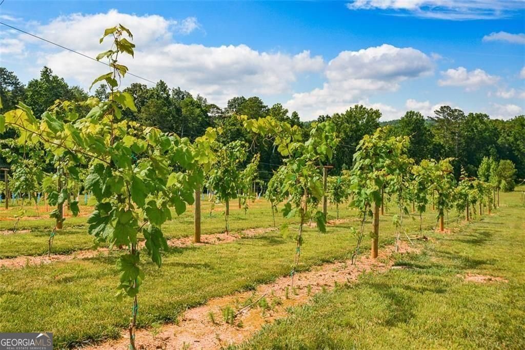 119 Inland 2 Drive Talking Rock - Photo 17