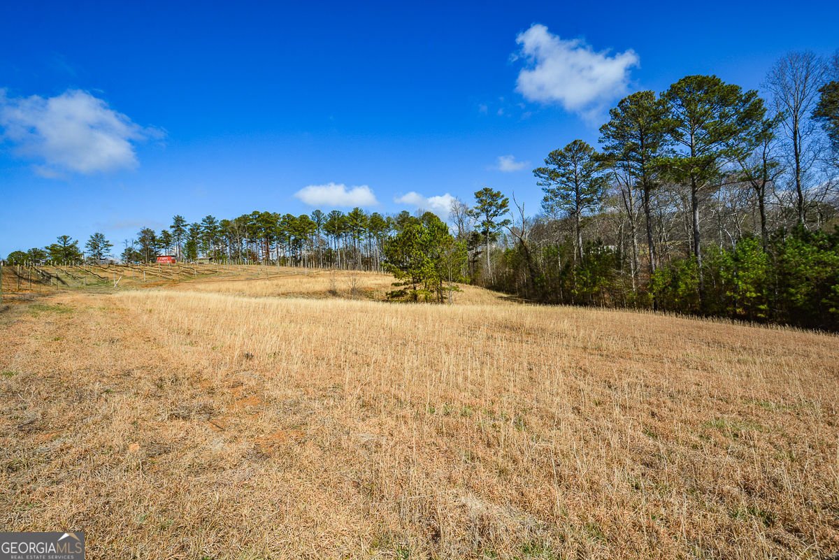 119 Inland 2 Drive Talking Rock - Photo 8