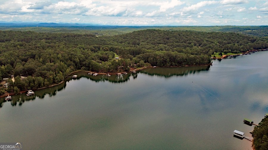 290 Cardinal Lane Toccoa - Photo 25