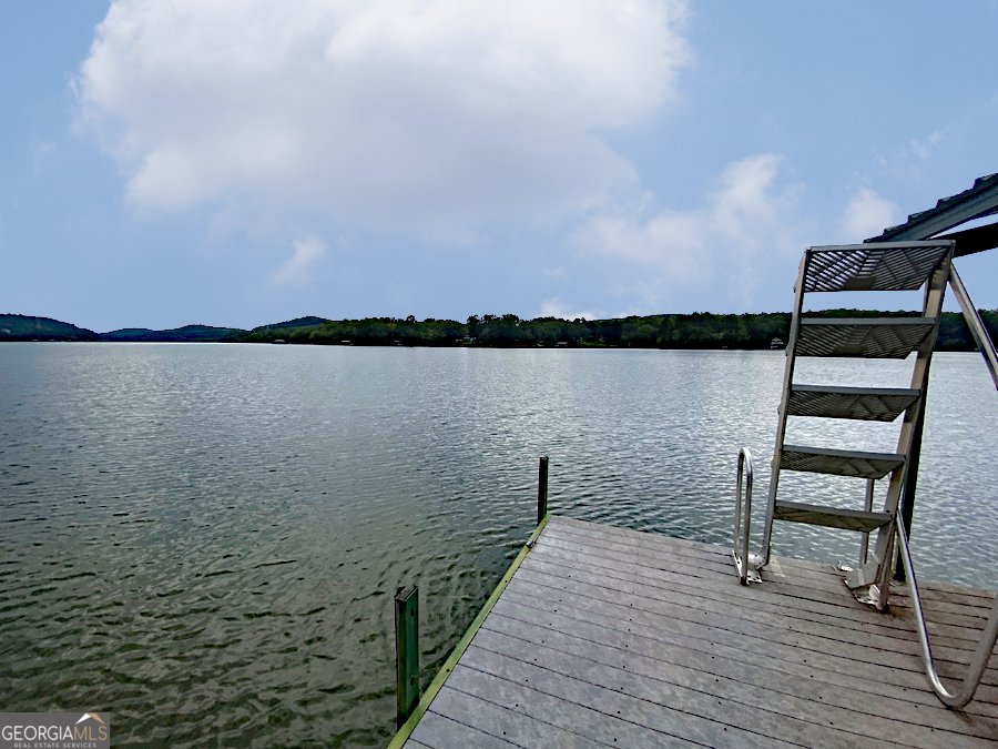 290 Cardinal Lane Toccoa - Photo 29