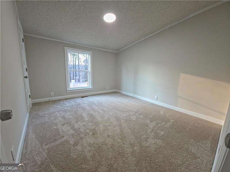 6967 Pinella Court Douglasville - Photo 32