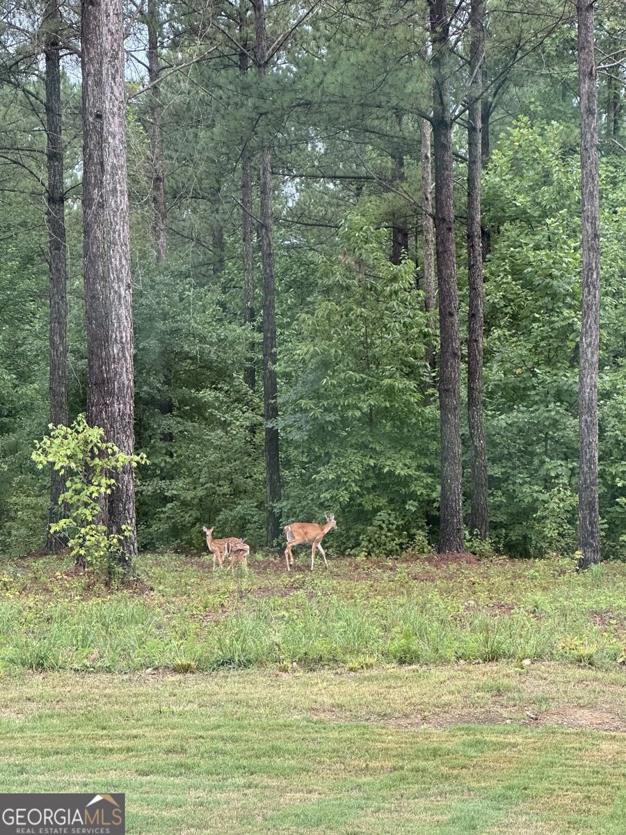 1270 McGarity Road Temple - Photo 54