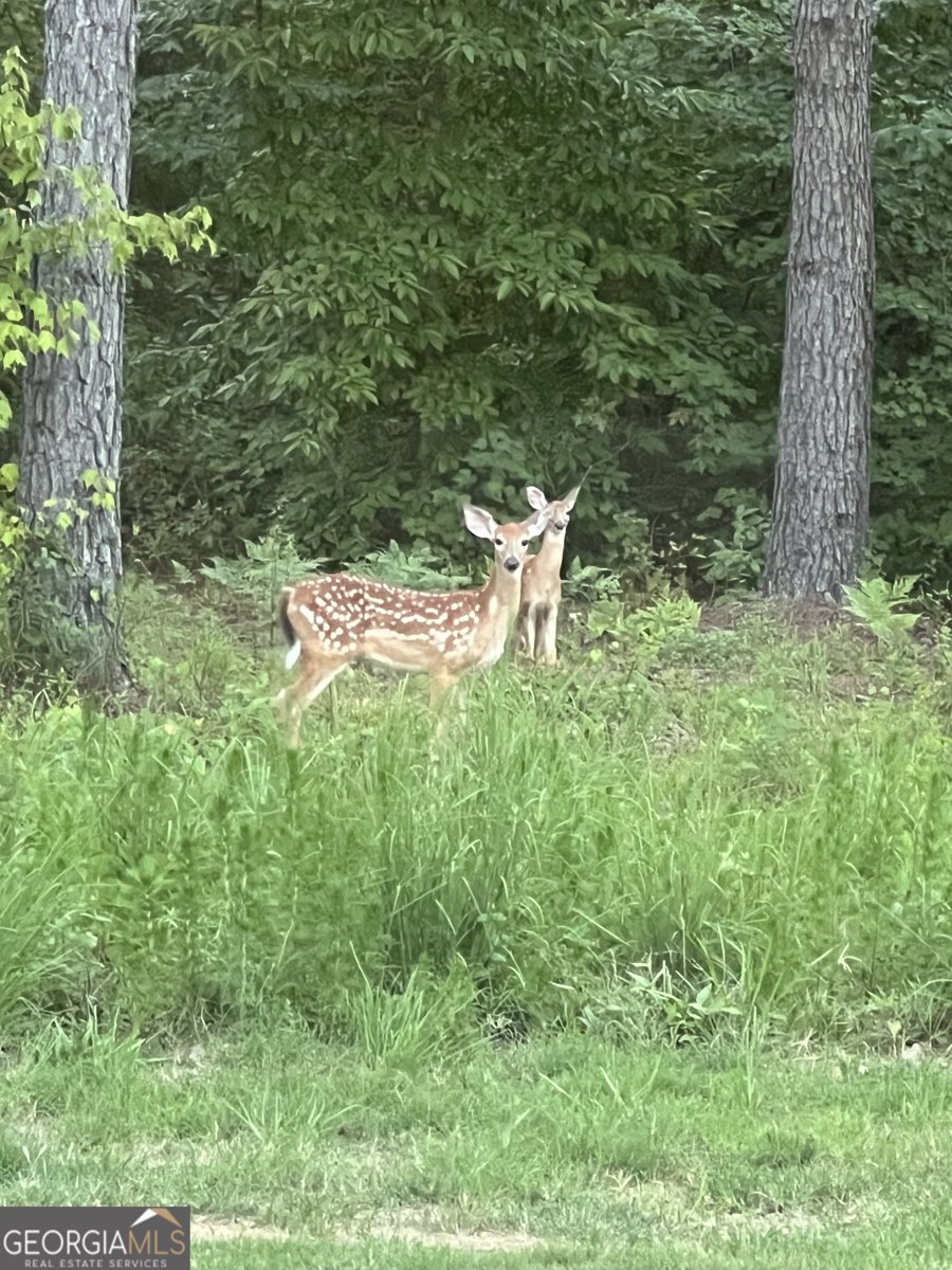 1270 McGarity Road Temple - Photo 55
