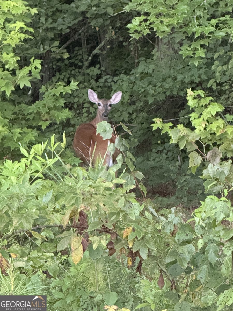 1270 McGarity Road Temple - Photo 56