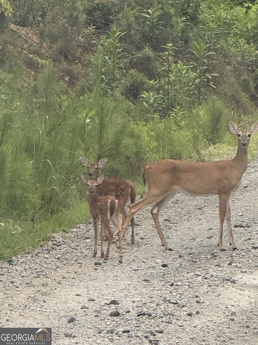 1270 McGarity Road Temple - Photo 57
