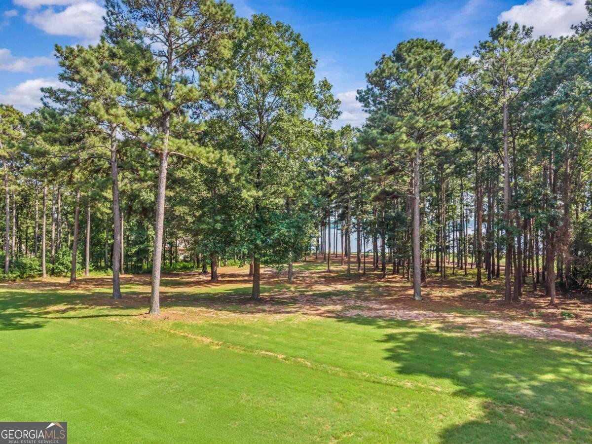 112 Porterfield Drive Eatonton - Photo 46