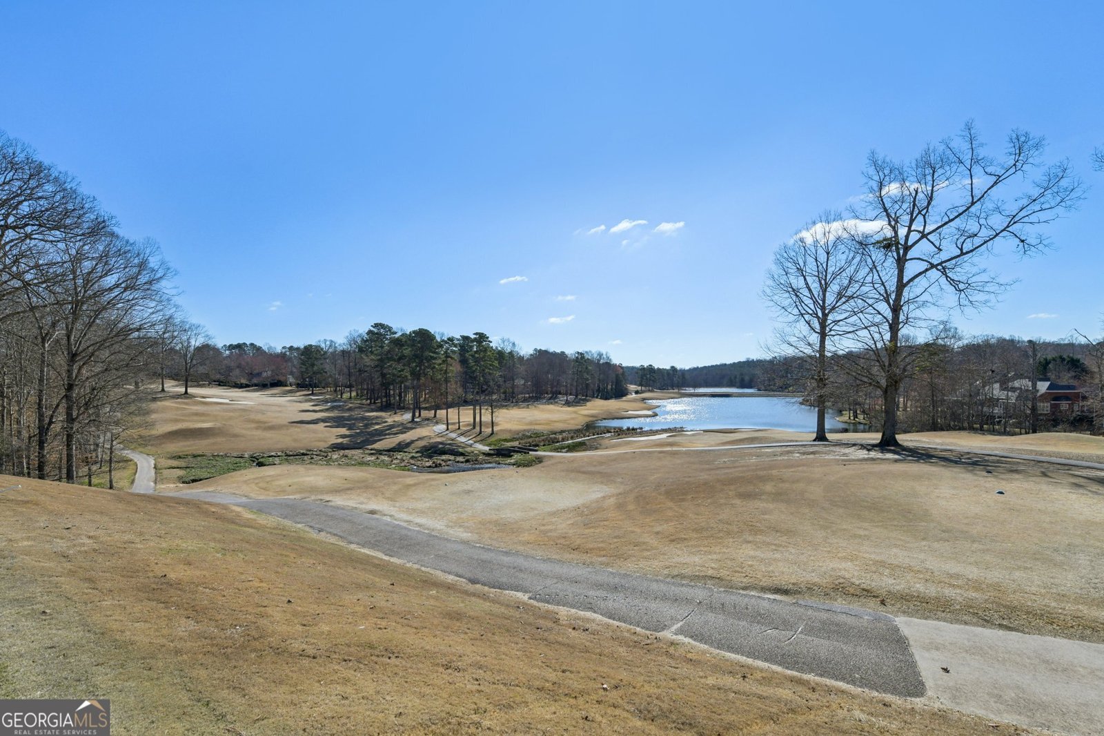 4208 Edgeworth Drive Flowery Branch - Photo 39