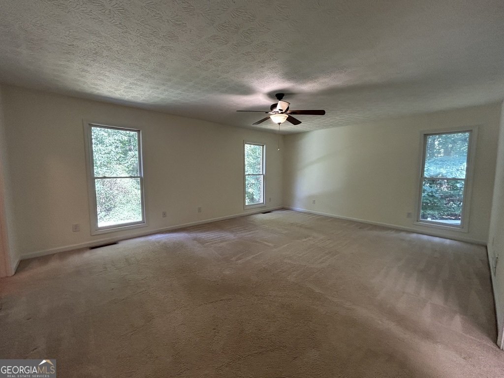 500 Butler Bridge Drive McDonough - Photo 14