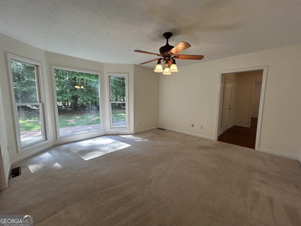 500 Butler Bridge Drive McDonough - Photo 19