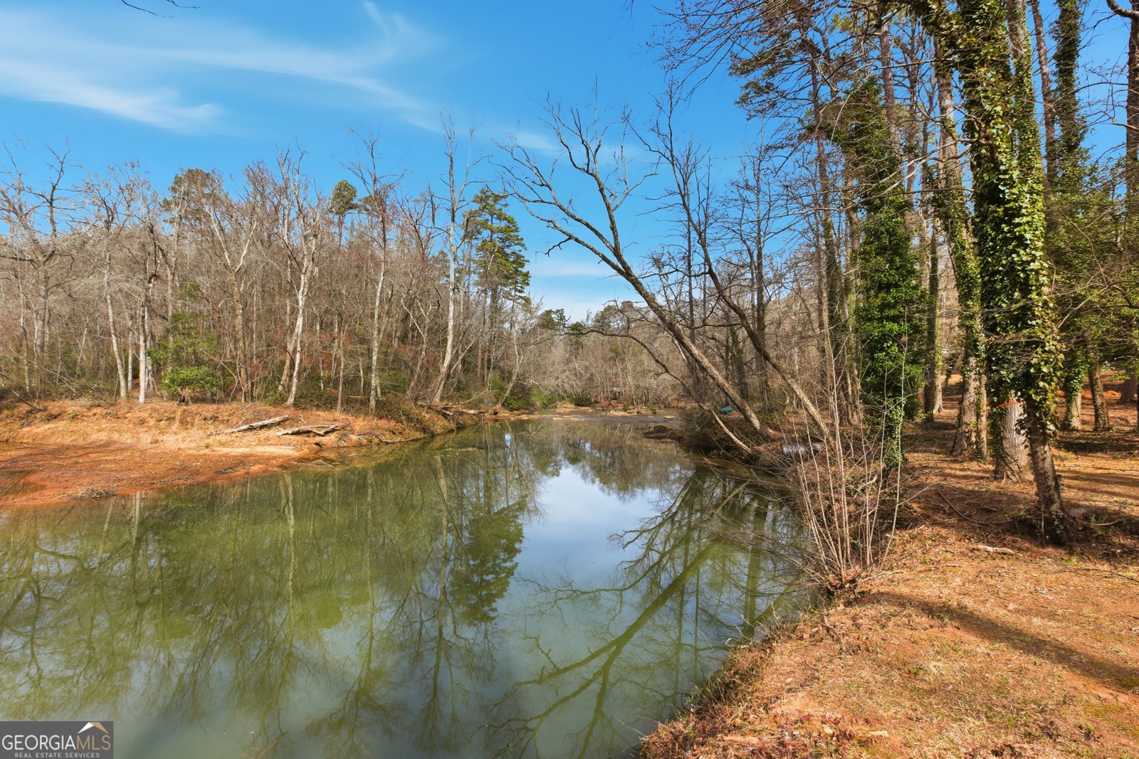 151 Ivy Street Demorest - Photo 6