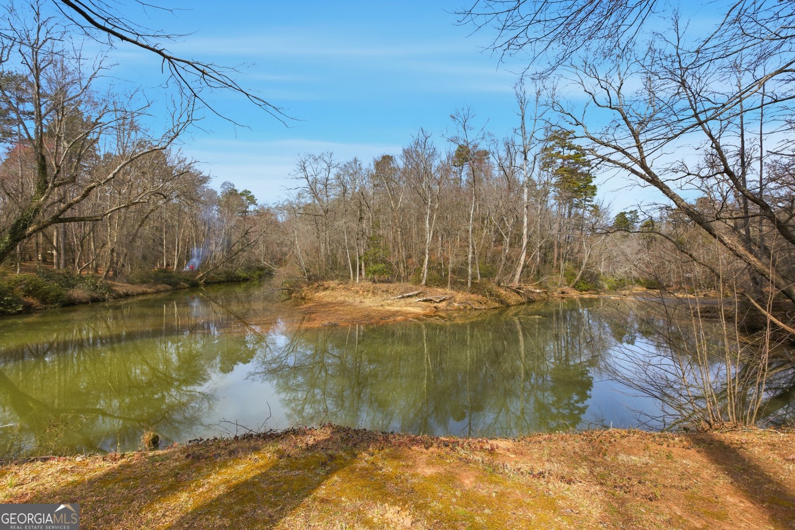 151 Ivy Street Demorest - Photo 7