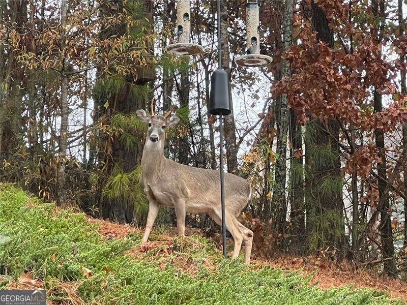 107 Millstone Manor Court Woodstock - Photo 50