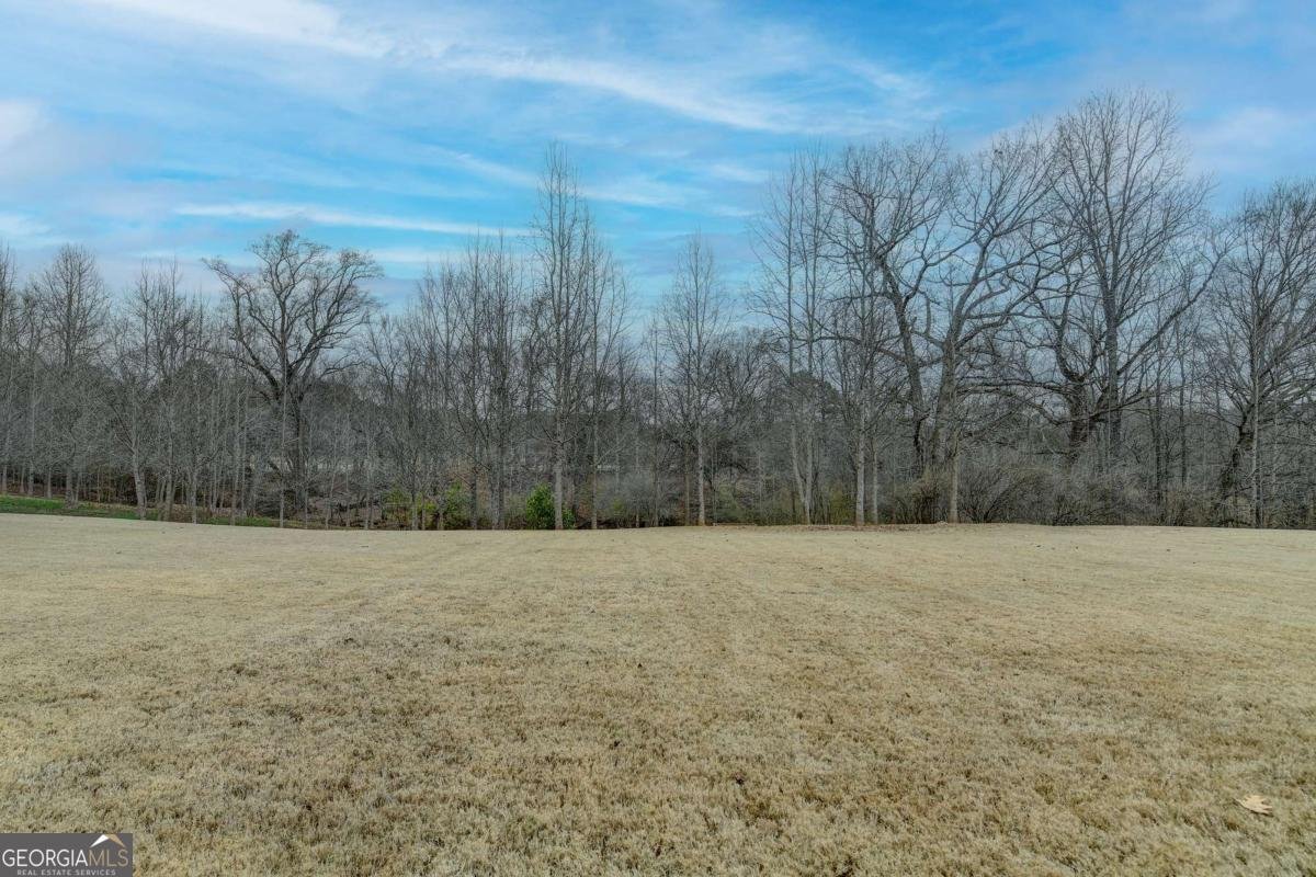 6015 Pennant Lane Suwanee - Photo 71