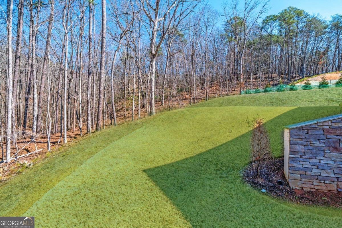 105 Franklin Elm Court Waleska - Photo 49