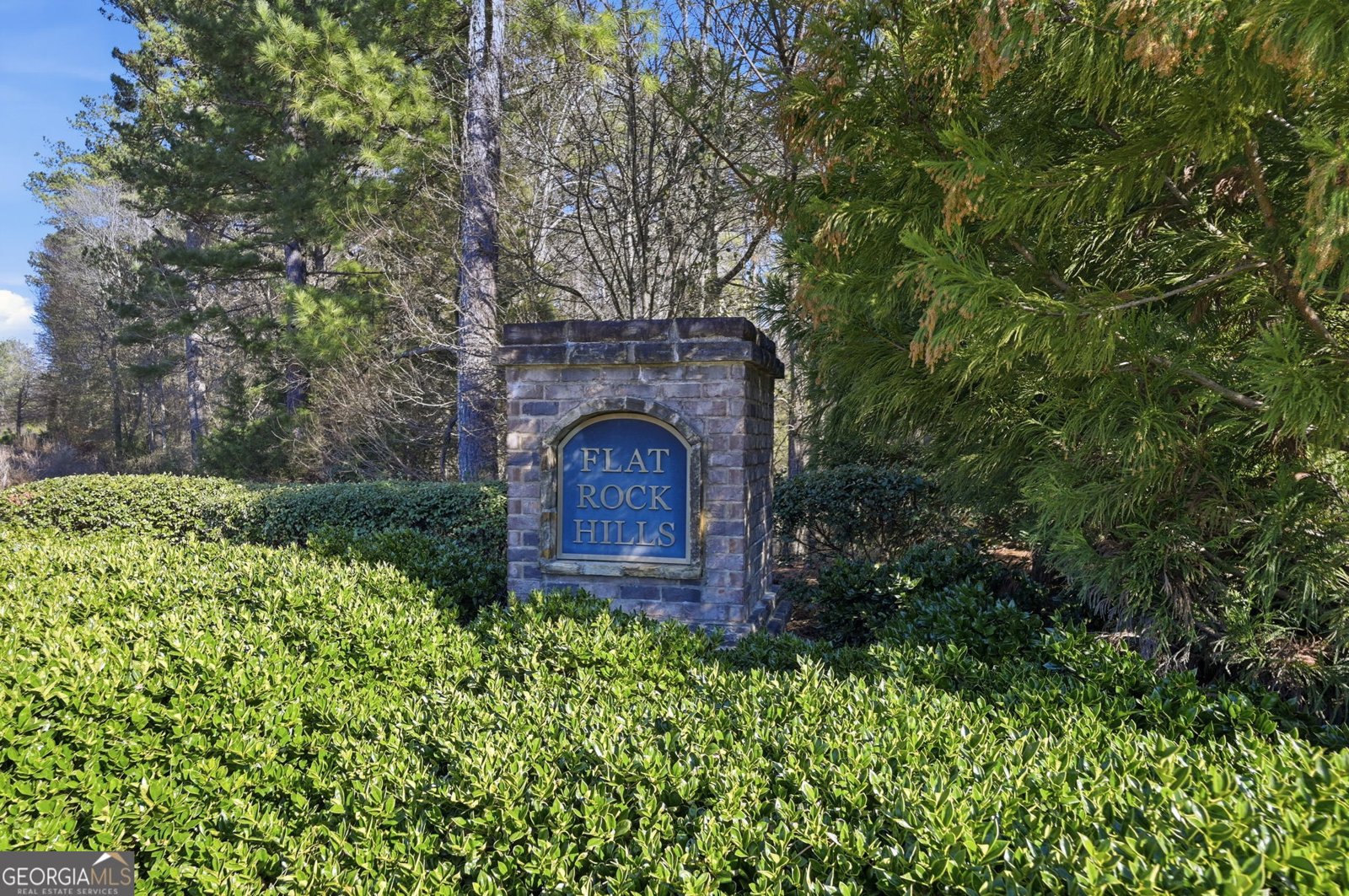 4247 Sawgrass Drive Lithonia - Photo 43